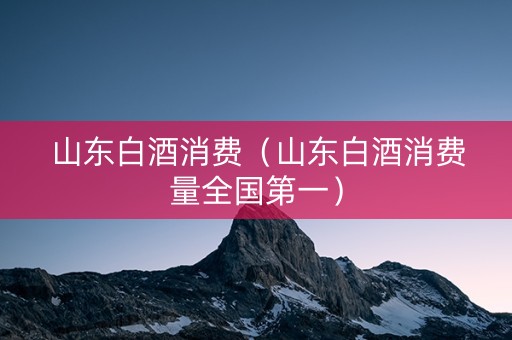 山东白酒消费（山东白酒消费量全国第一）