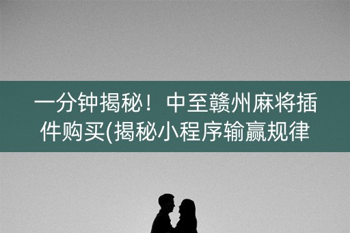 一分钟揭秘！中至赣州麻将插件购买(揭秘小程序输赢规律)