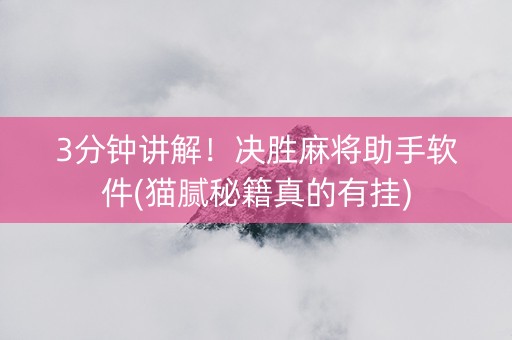 3分钟讲解！决胜麻将助手软件(猫腻秘籍真的有挂)