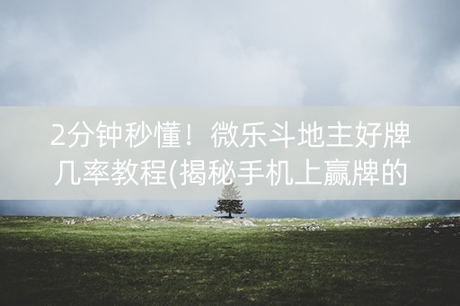 2分钟秒懂！微乐斗地主好牌几率教程(揭秘手机上赢牌的技巧)