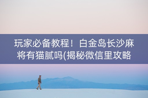 玩家必备教程！白金岛长沙麻将有猫腻吗(揭秘微信里攻略插件)