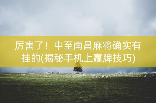 厉害了！中至南昌麻将确实有挂的(揭秘手机上赢牌技巧)