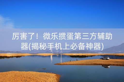 厉害了！微乐掼蛋第三方辅助器(揭秘手机上必备神器)