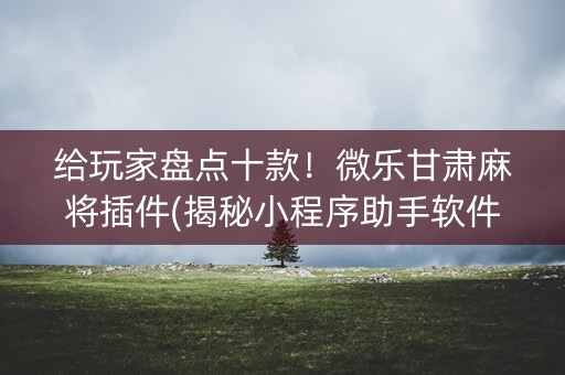 给玩家盘点十款！微乐甘肃麻将插件(揭秘小程序助手软件)
