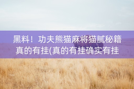 黑料！功夫熊猫麻将猫腻秘籍真的有挂(真的有挂确实有挂)