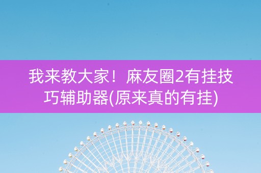 我来教大家！麻友圈2有挂技巧辅助器(原来真的有挂)