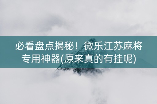 必看盘点揭秘！微乐江苏麻将专用神器(原来真的有挂呢)