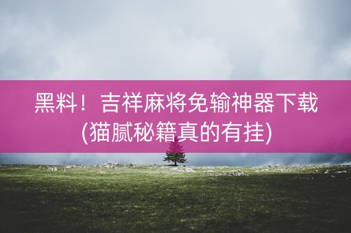 黑料！吉祥麻将免输神器下载(猫腻秘籍真的有挂)