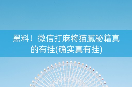 黑料！微信打麻将猫腻秘籍真的有挂(确实真有挂)