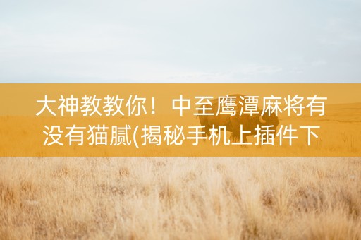 大神教教你！中至鹰潭麻将有没有猫腻(揭秘手机上插件下载)