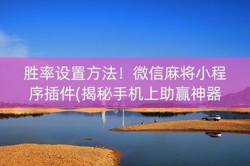 胜率设置方法！微信麻将小程序插件(揭秘手机上助赢神器购买)