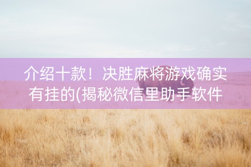 介绍十款！决胜麻将游戏确实有挂的(揭秘微信里助手软件)