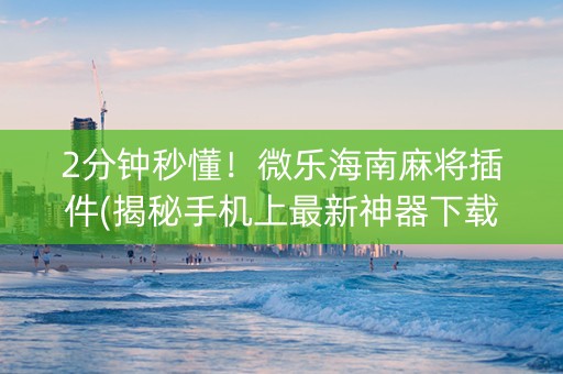 2分钟秒懂！微乐海南麻将插件(揭秘手机上最新神器下载)