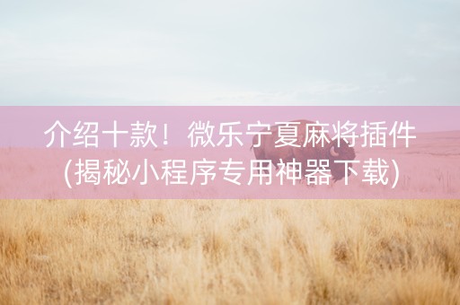 介绍十款！微乐宁夏麻将插件(揭秘小程序专用神器下载)