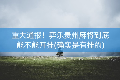 重大通报！弈乐贵州麻将到底能不能开挂(确实是有挂的)