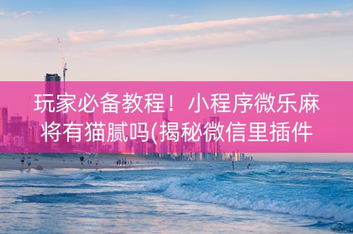 玩家必备教程！小程序微乐麻将有猫腻吗(揭秘微信里插件购买)