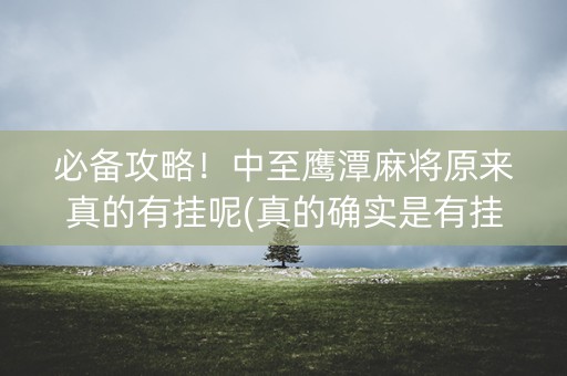 必备攻略！中至鹰潭麻将原来真的有挂呢(真的确实是有挂)