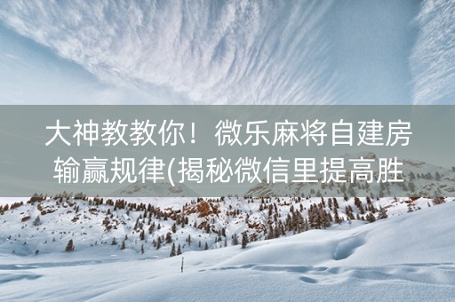 大神教教你！微乐麻将自建房输赢规律(揭秘微信里提高胜率)
