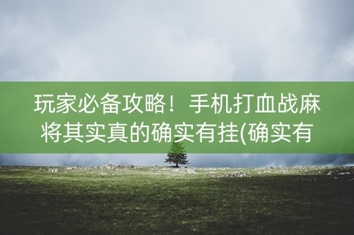 玩家必备攻略！手机打血战麻将其实真的确实有挂(确实有挂吗)