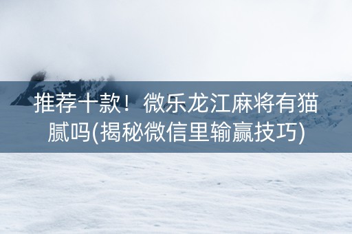 推荐十款！微乐龙江麻将有猫腻吗(揭秘微信里输赢技巧)