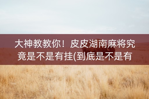 大神教教你！皮皮湖南麻将究竟是不是有挂(到底是不是有挂)