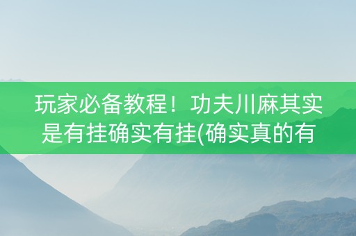 玩家必备教程！功夫川麻其实是有挂确实有挂(确实真的有挂)