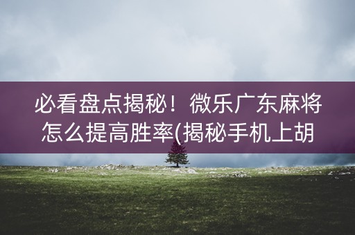 必看盘点揭秘！微乐广东麻将怎么提高胜率(揭秘手机上胡牌神器)