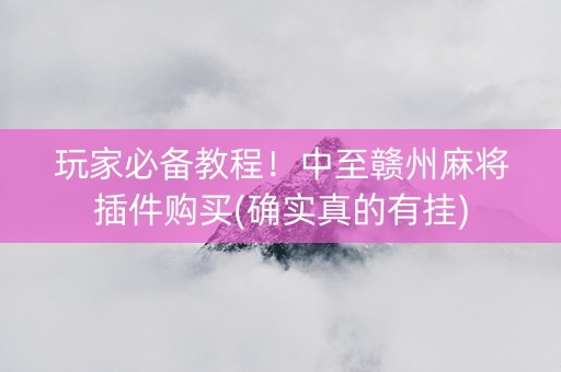 玩家必备教程！中至赣州麻将插件购买(确实真的有挂)