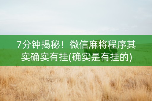 7分钟揭秘！微信麻将程序其实确实有挂(确实是有挂的)