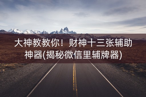 大神教教你！财神十三张辅助神器(揭秘微信里辅牌器)
