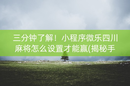 三分钟了解！小程序微乐四川麻将怎么设置才能赢(揭秘手机上自建房怎么赢)