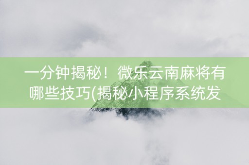 一分钟揭秘！微乐云南麻将有哪些技巧(揭秘小程序系统发好牌)