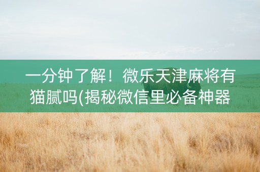 一分钟了解！微乐天津麻将有猫腻吗(揭秘微信里必备神器)