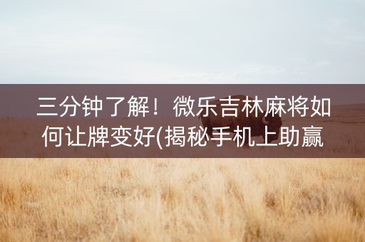 三分钟了解！微乐吉林麻将如何让牌变好(揭秘手机上助赢神器)
