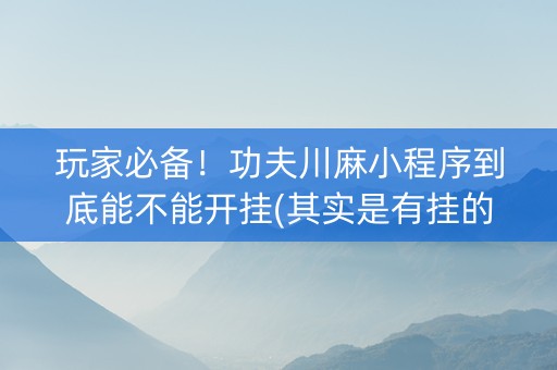 玩家必备！功夫川麻小程序到底能不能开挂(其实是有挂的)