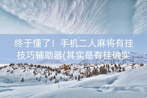 终于懂了！手机二人麻将有挂技巧辅助器(其实是有挂确实有挂)