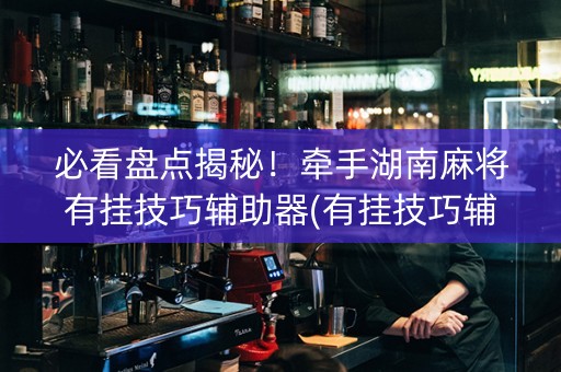必看盘点揭秘！牵手湖南麻将有挂技巧辅助器(有挂技巧辅助器)