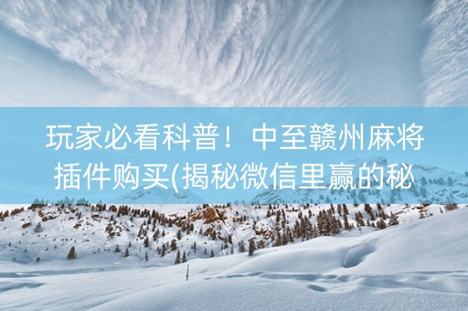 玩家必看科普！中至赣州麻将插件购买(揭秘微信里赢的秘诀)