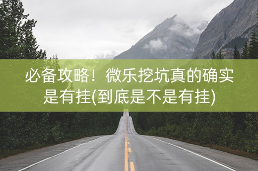 必备攻略！微乐挖坑真的确实是有挂(到底是不是有挂)