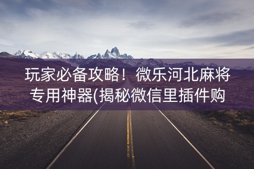 玩家必备攻略！微乐河北麻将专用神器(揭秘微信里插件购买)