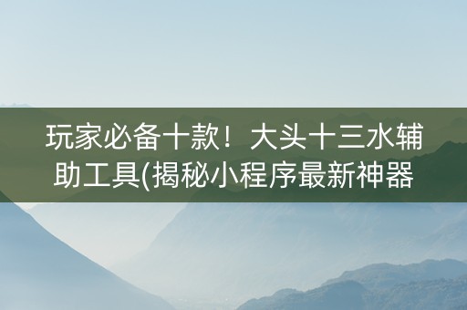 玩家必备十款！大头十三水辅助工具(揭秘小程序最新神器下载)