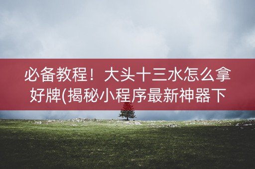 必备教程！大头十三水怎么拿好牌(揭秘小程序最新神器下载)