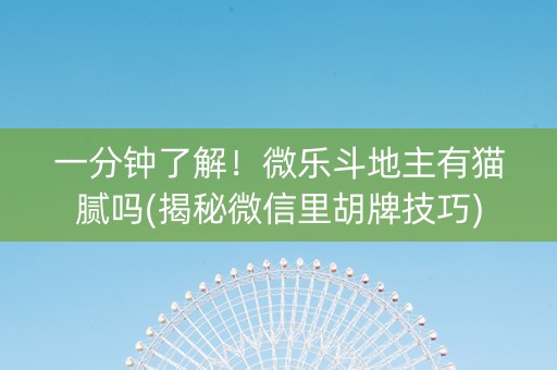 一分钟了解！微乐斗地主有猫腻吗(揭秘微信里胡牌技巧)