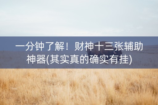 一分钟了解！财神十三张辅助神器(其实真的确实有挂)