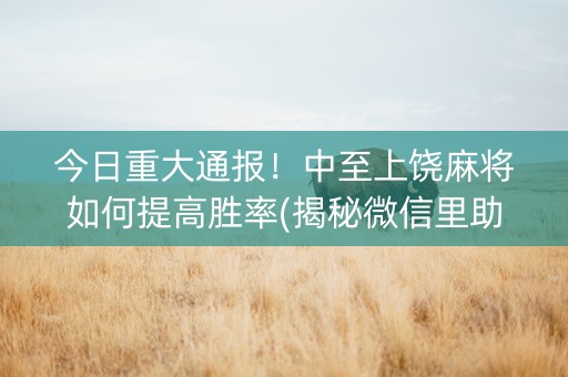 今日重大通报！中至上饶麻将如何提高胜率(揭秘微信里助赢神器购买)