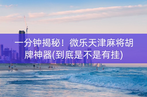 一分钟揭秘！微乐天津麻将胡牌神器(到底是不是有挂)