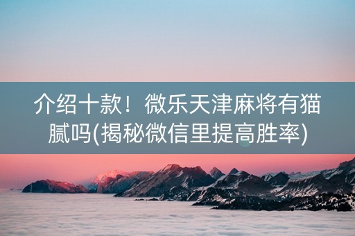介绍十款！微乐天津麻将有猫腻吗(揭秘微信里提高胜率)