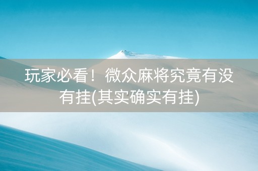 玩家必看！微众麻将究竟有没有挂(其实确实有挂)