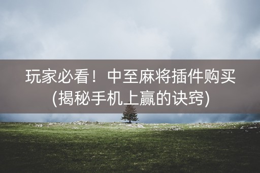 玩家必看！中至麻将插件购买(揭秘手机上赢的诀窍)