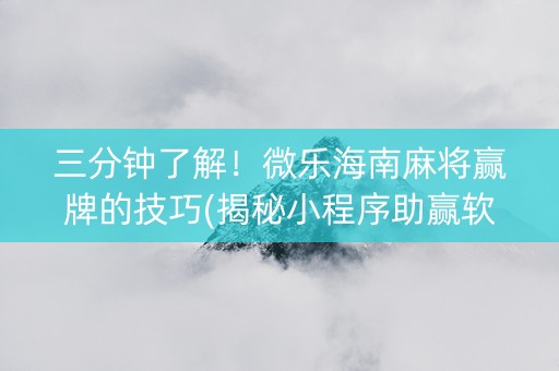 三分钟了解！微乐海南麻将赢牌的技巧(揭秘小程序助赢软件)